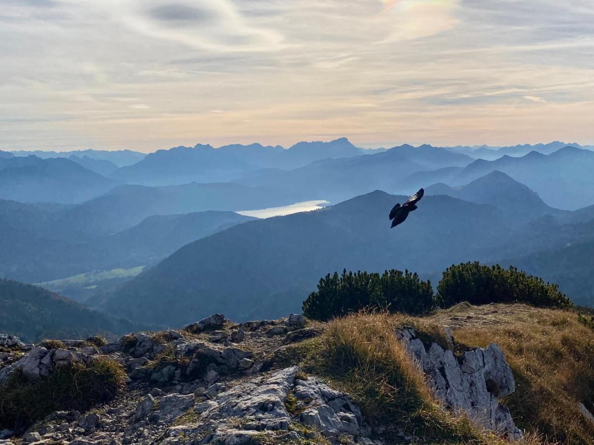 Alpenhof Kruen Hotel Eksteriør billede