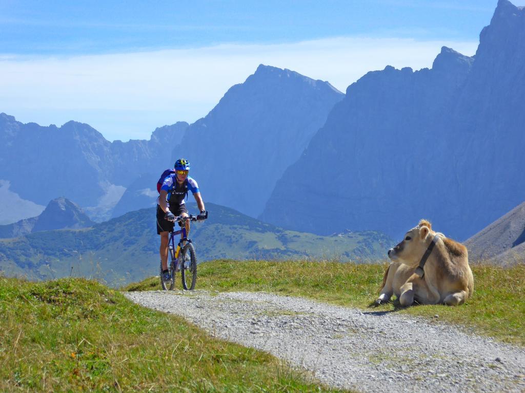 Alpenhof Kruen Hotel Eksteriør billede